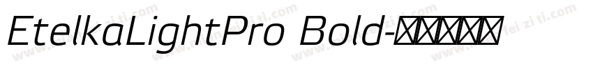 EtelkaLightPro Bold字体转换